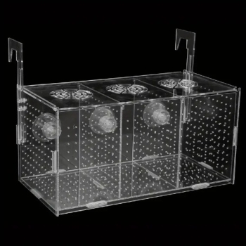 Acrylic quarantaine case 300x150x150mm (Schwimmschule)